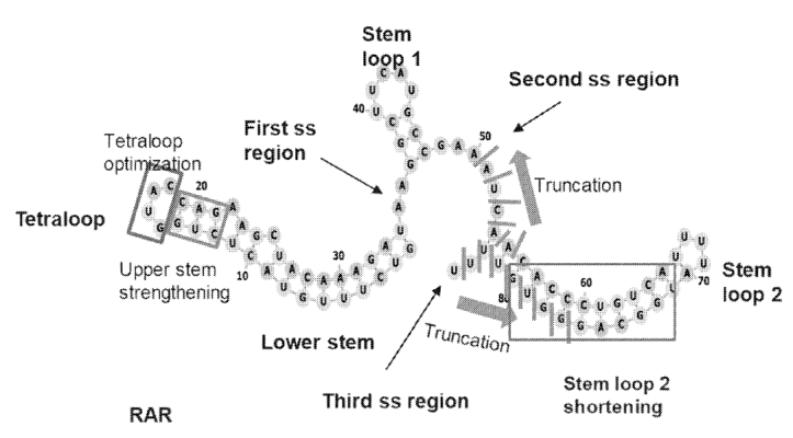Figure 2: Overview of engineered regions of the scaffold sequence